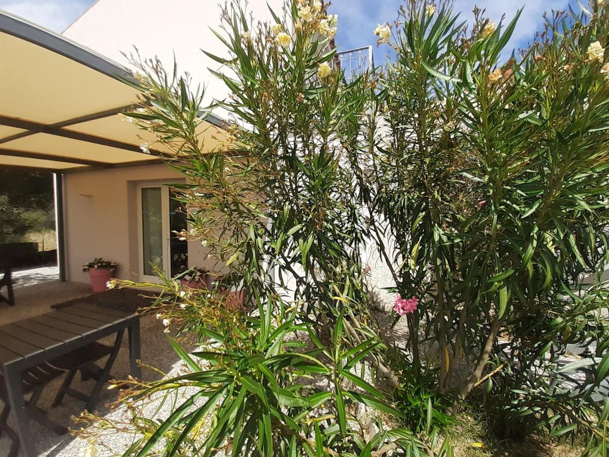 Sole&Sale Bed & Breakfast San Teodoro  Exterior photo